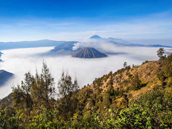 Bromo Tour Special Weekend 2 Hari 1 Malam
